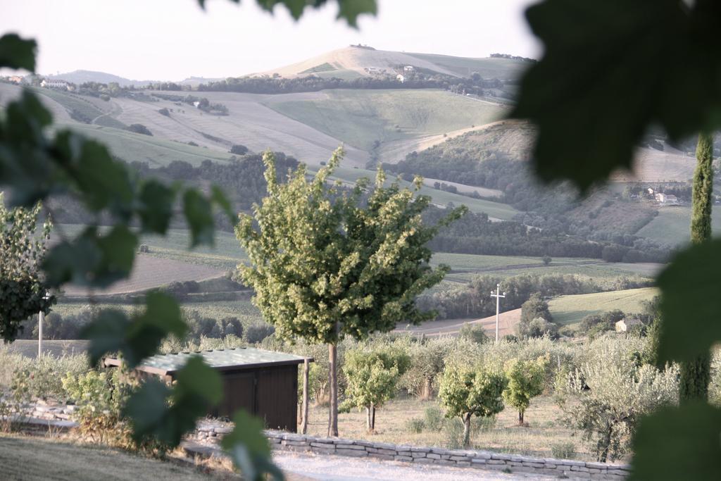 Hotel Agriturismo Fattoria Marchetti Montalto delle Marche Exterior foto
